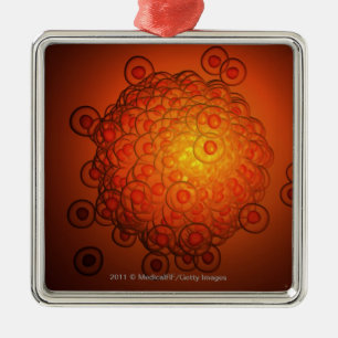 Vergrößerter Blick auf ein Ovum Silbernes Ornament