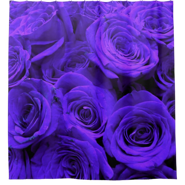 Veri peri periwinkle blaue lila Rose Duschvorhang (Vorderseite)