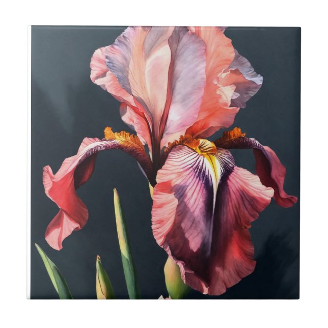 Véritable lumière Pastel Crimson rose Iris carreau (Devant)