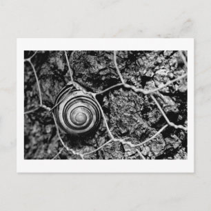 verkabeltes Tempo Postkarte