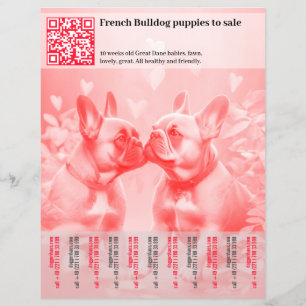Verkauf von Französisch Bulldoggen Welpen Design F Flyer
