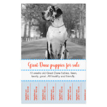 Verkauf von Welpen Flyer