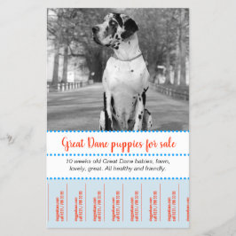 Verkauf von Welpen Flyer