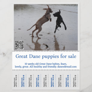 Verkäufer Anzeige Flyer