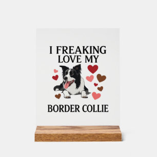 Verknallt in Border Collie Hund Hearts_1 Acrylschild