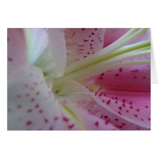 verlängern (Vorderseite (Horizontal))