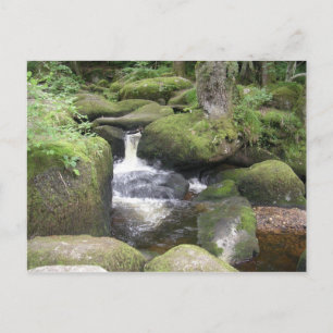 Verlängerung 2009 105 postkarte