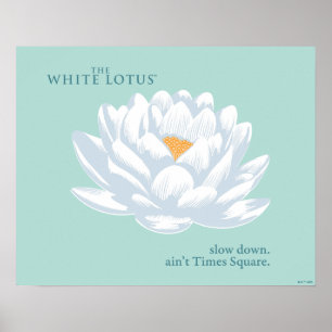 Verlangsamt, nicht zu spät - der weiße Lotus Poster