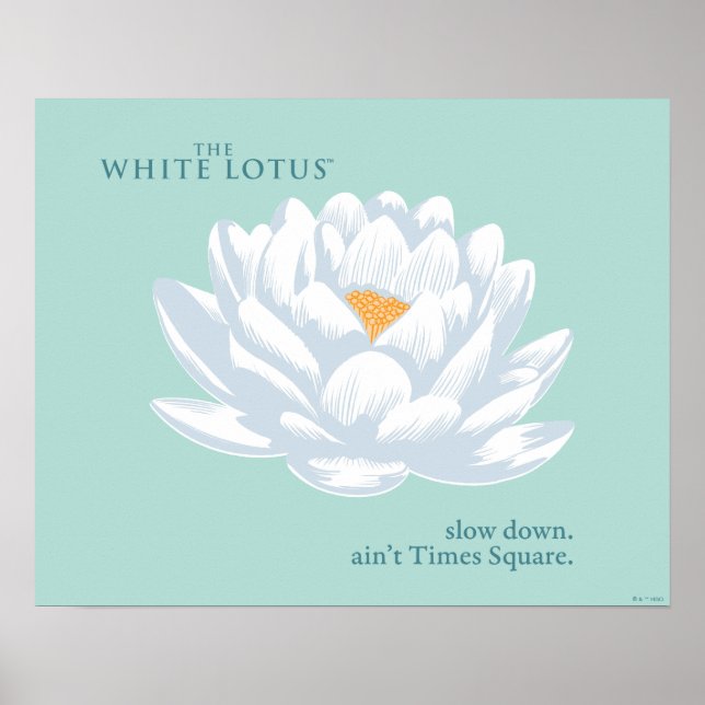 Verlangsamt, nicht zu spät - der weiße Lotus Poster (Vorne)