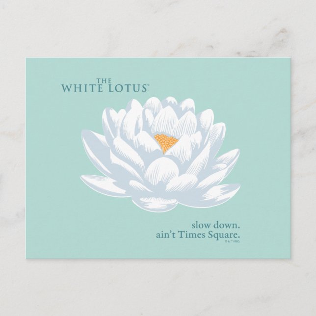 Verlangsamt, nicht zu spät - der weiße Lotus Postkarte (Vorderseite)