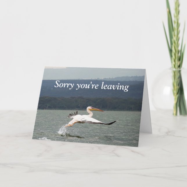 Verlassend Vogelkarte Karte (Vorderseite)