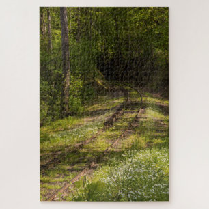Verlassene Eisenbahn In Einem Wald