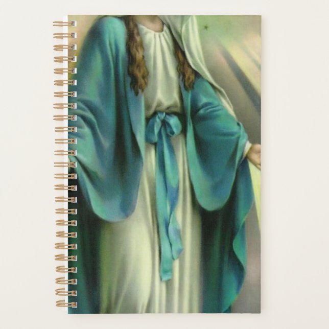 Verletzungen von Virgin Mary Planer (Vorderseite)