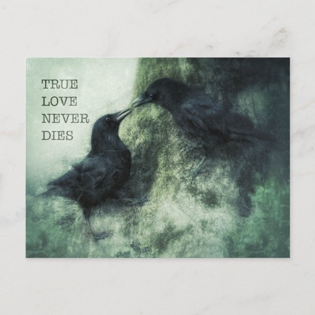 Verliebte Krähen True Love Never Dies Liebe Raben Postkarte (Vorderseite)