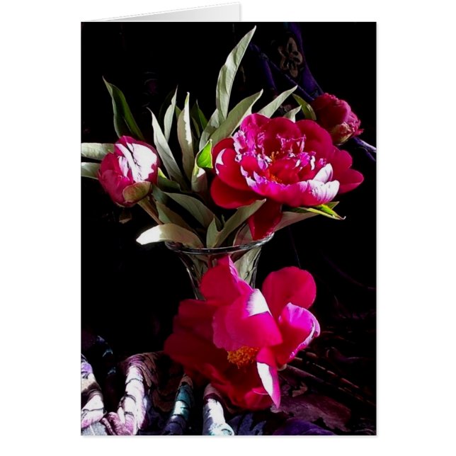 Verlockende rote Pfingstrosen (Vorne)