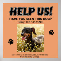 VERLOREN DOG POSTER. HELFEN SIE UNS! Details Poste