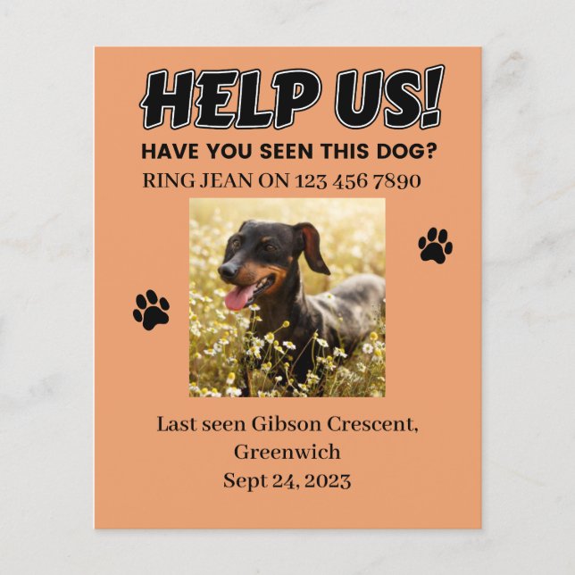 VERLOREN HUNDE FLYER. HELFEN SIE UNS! Ausführliche Flyer (Vorne)