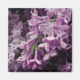 Verloren in der Flieder Magnet