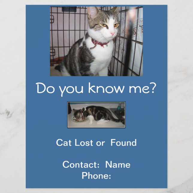 Verlorene oder gefundene Katze Briefkasten Flyer (Vorne)