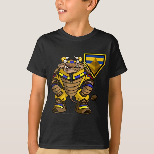 Verlorener Wüsten-Team-Kapitän 1 T-Shirt (Vorderseite)