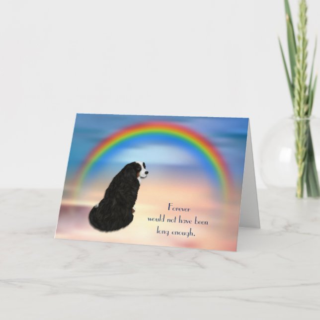 Verlust der Bernener Rainbow-Sympathiekarte Feiertagskarte (Vorderseite)