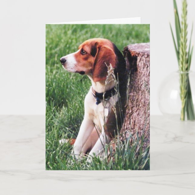Verlust der Sympathiekarte für Beagle Karte (Vorderseite)