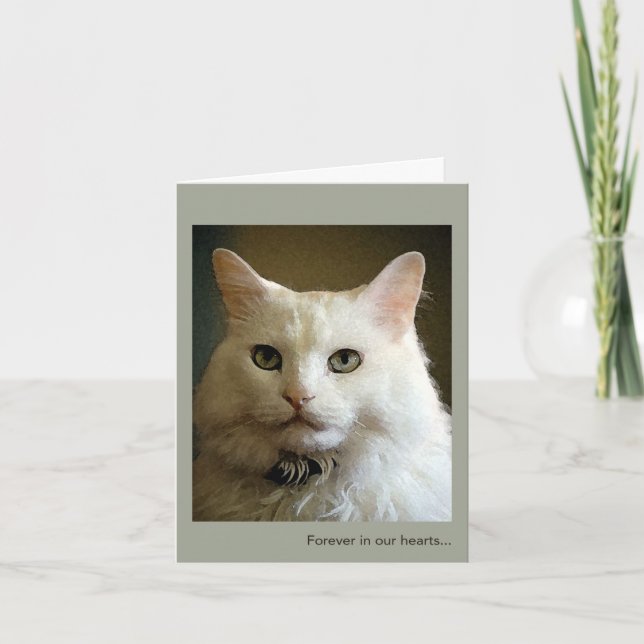 Verlust der Sympathiekarte für Katzen Karte (Vorderseite)