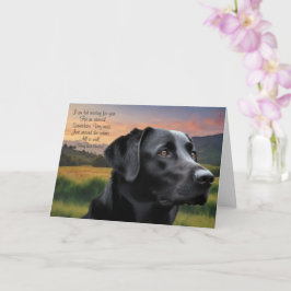 Verlust des Haustieres Hund (Schwarzer Labrador) - Karte