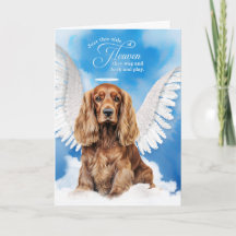 Verlust des Hundes Cocker Spanisch Pet Beileid