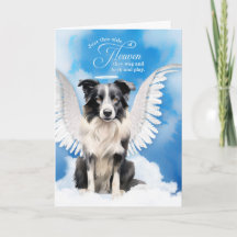 Verlust eines Hundes Border Collie Engel Haustier