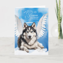 Verlust eines Hundes sibirischen Husky-Beileids