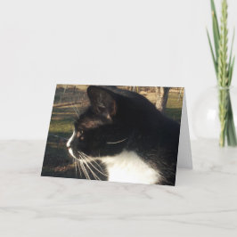 Verlust eines Katzen Haustier Karte