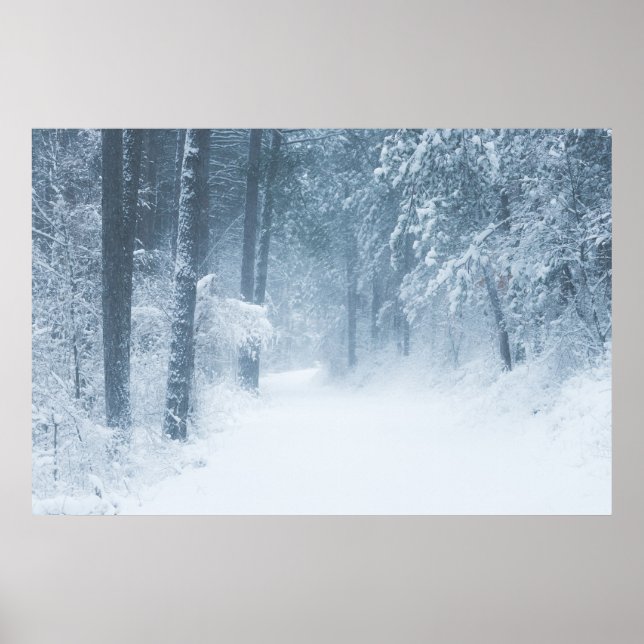 Verlust in einem magischen Wald Poster (Vorne)