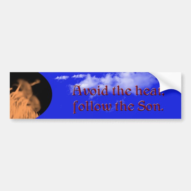 Vermeiden Sie die Hitze - Autoaufkleber (Vorne)