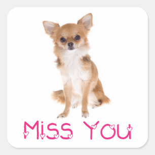 Vermisse-Dich-Chihuahua-Welpen-Hund-Aufkleber-Etik Quadratischer Aufkleber