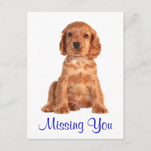 Vermisse dich Cocker Spaniel Welpe Hund Postkarte