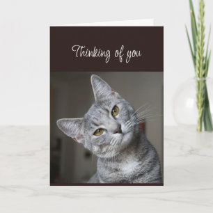 Vermisse Dich Denk An Dich Neugierige Katze Karte