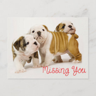 Vermisse dich Englisch Bulldogge Welpen Hunde Postkarte