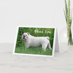 Vermisse Dich Englische Bulldogge Welpen-Hund Gruß Karte