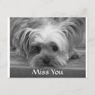 Vermisse dich Yorkshire Terrier Welpe Hund Postkar Postkarte