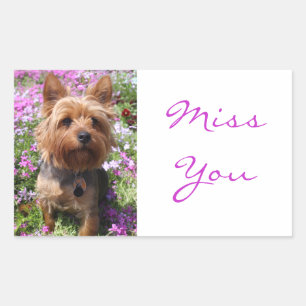 Vermisse Dich Yorkshire Terrier Welpe Hunde Aufkl Rechteckiger Aufkleber