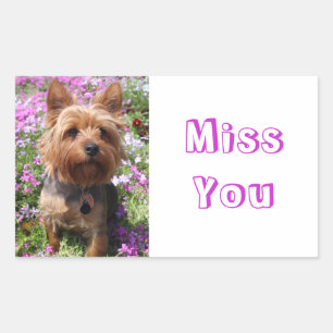 Vermisse Dich Yorkshire Terrier Welpe Hunde Aufkle Rechteckiger Aufkleber