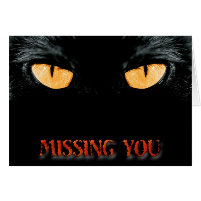 VERMISST (Vorderseite (Horizontal))