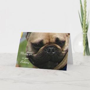 Vermisst auf die französische Bulldogkarte zum Geb Karte