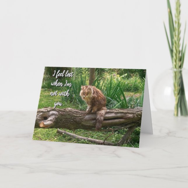 Vermisst, dass Sie Cat Foto geklappte Grußkarte Karte (Vorderseite)