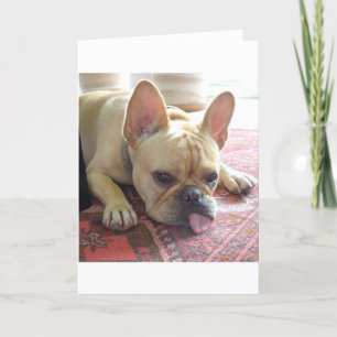 VERMISST! FRANZÖSISCHE BULLDOG-KARTE KARTE