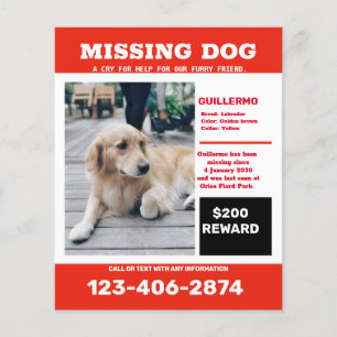 Vermisst-Hund-Foto-Werbeplakat Flyer