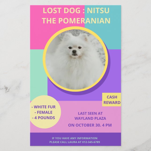 Vermisst Hund Modernes farbiges Foto Poster Flyer (Vorne)