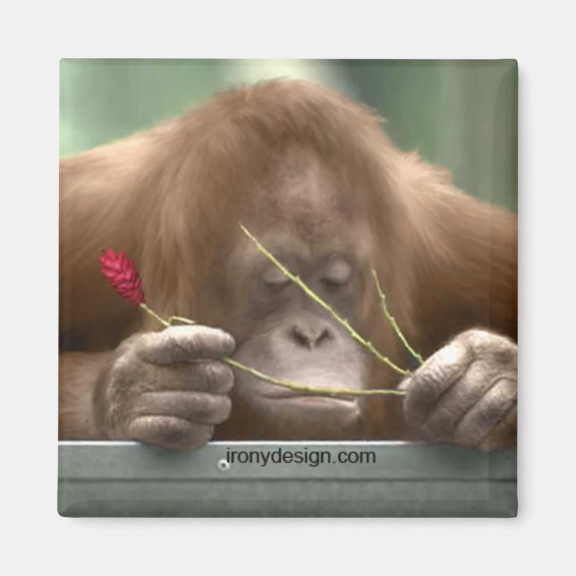 Vermisst Magnet (Vorne)