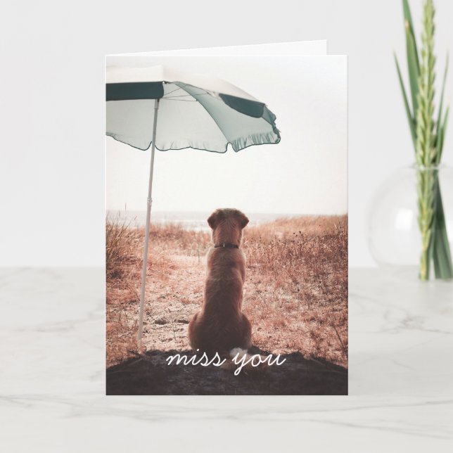 Vermisst nur ein Golden Retriever am Strand Karte (Vorderseite)